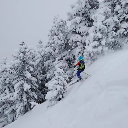 Zillertaler Alpenblick Apartment *