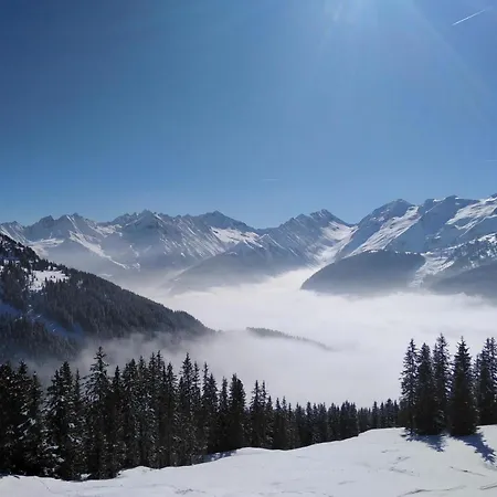 Zillertaler Alpenblick *