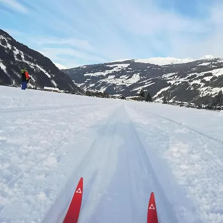 Zillertaler Alpenblick Daire Zell am Ziller