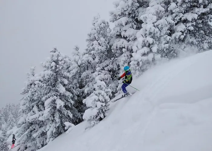 Zillertaler Alpenblick Apartamento *