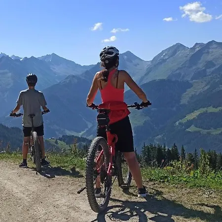 Zillertaler Alpenblick *