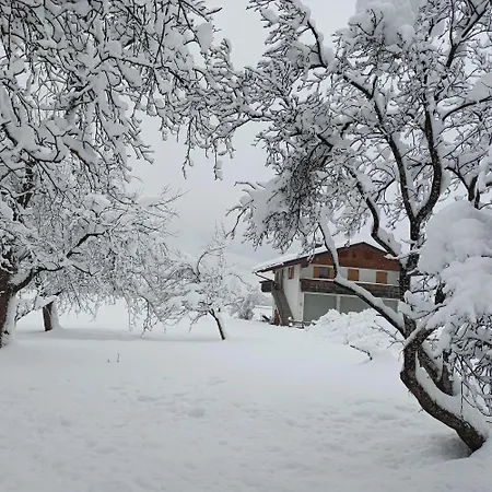 Zillertaler Alpenblick Zell am Ziller